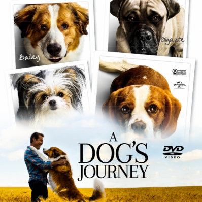 A Dog's Journey