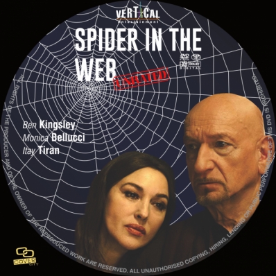 Spider in the Web