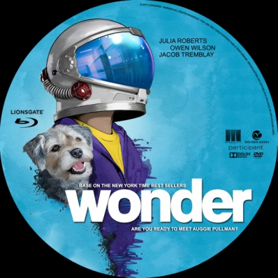 Wonder