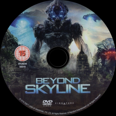 Beyond Skyline