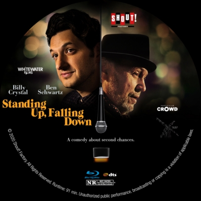 CoverCity - DVD Covers & Labels - Standing Up, Falling Down