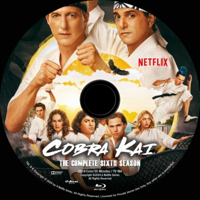 CoverCity - DVD Covers & Labels - Cobra Kai - Season 6