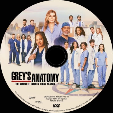 Grey's Anatomy - Season 21