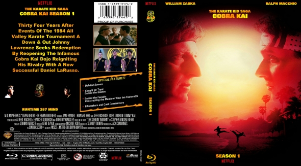 Cobra Kai Season 1 & 2 (dvd) : Target