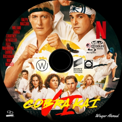 CoverCity - DVD Covers & Labels - Cobra Kai - Season 6