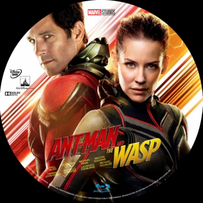 Covercity Dvd Covers Labels Ant Man And The Wasp