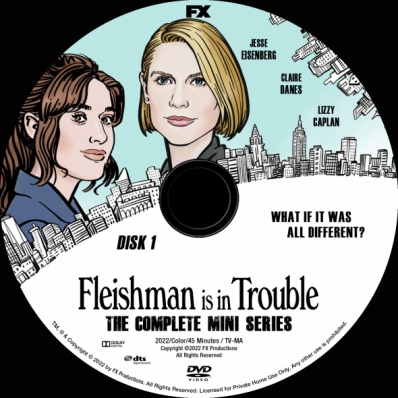 Fleishman Is in Trouble - Mini Series; disk 1