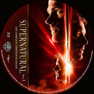 CoverCity - DVD Covers & Labels - Supernatural - Season 13; disc 1