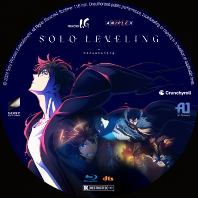 Solo Leveling: ReAwakening