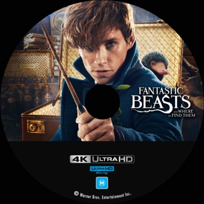 Fantastic Beasts And Where To Find Them 4K