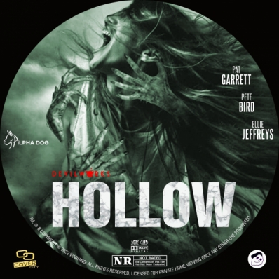 CoverCity - DVD Covers & Labels - Hollow