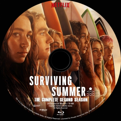 Surviving Summer - Season 2