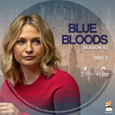 Blue Bloods - Season 13, Disc 5