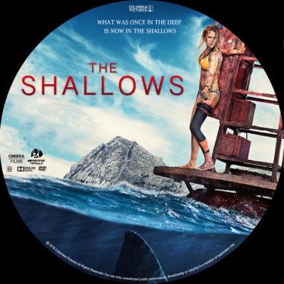 The Shallows